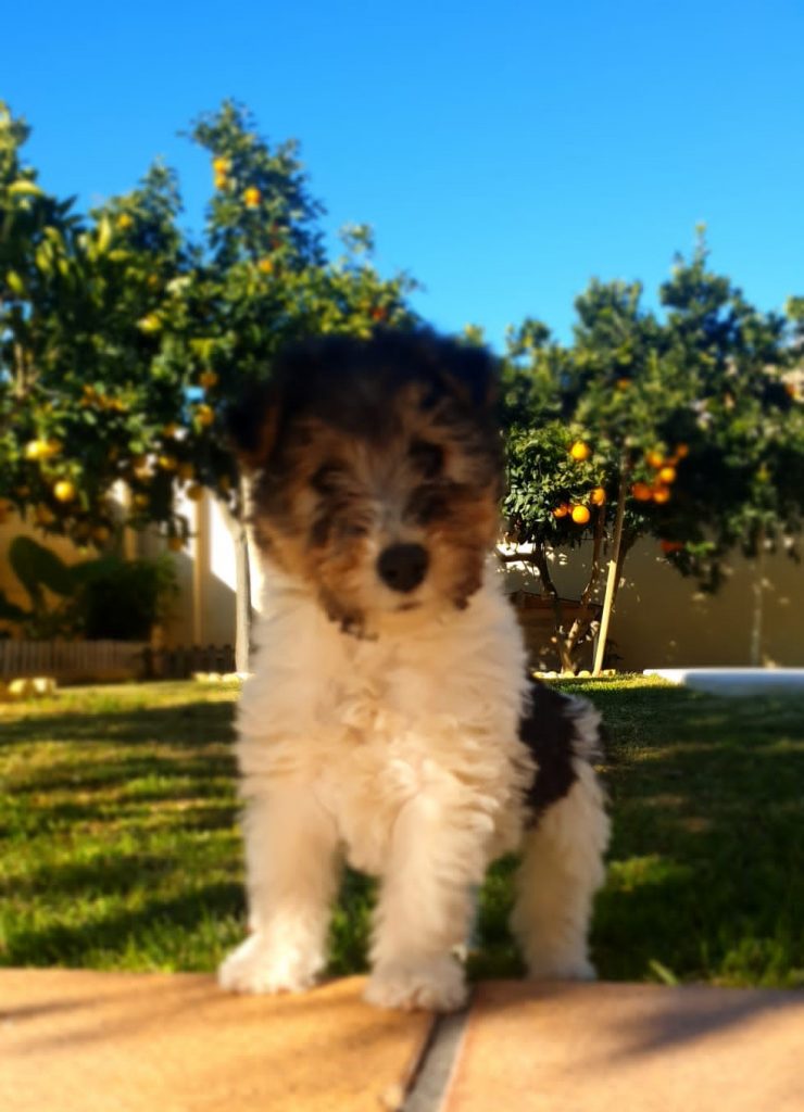 0c996bc2-1c3d-4647-b768-7d807871af31